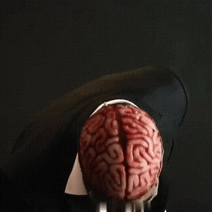 Caden Adult Scary Halloween Mask | Realistic Skeleton with Brain Detail, Flexible Latex 2