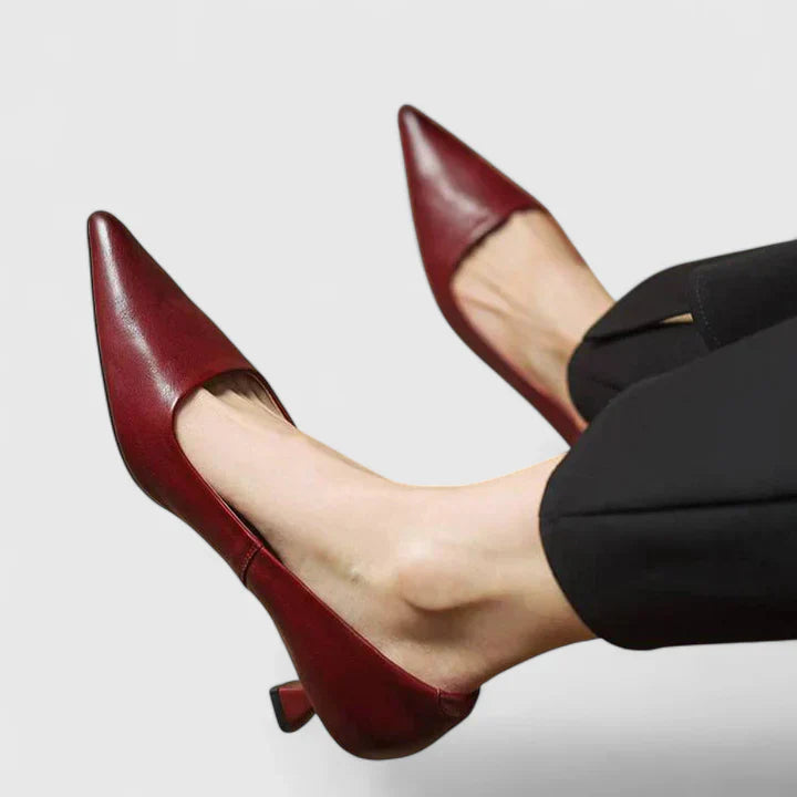 Evelyn Women's Pumps | Classic Pointed Toe, Low Heel Design 0