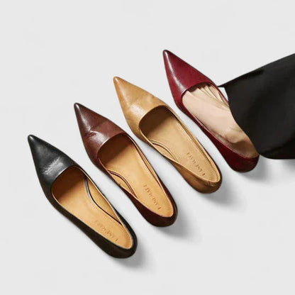 Evelyn Women's Pumps | Classic Pointed Toe, Low Heel Design 4